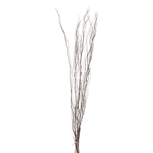 Salix Willow Bundle, 5pc, Brown