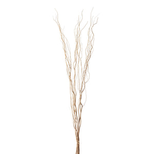 Salix Willow Bundle, 5pc, Natural