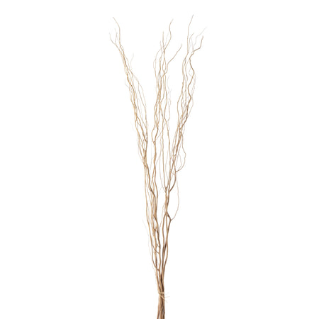 Salix Willow Bundle, 5pc, Natural