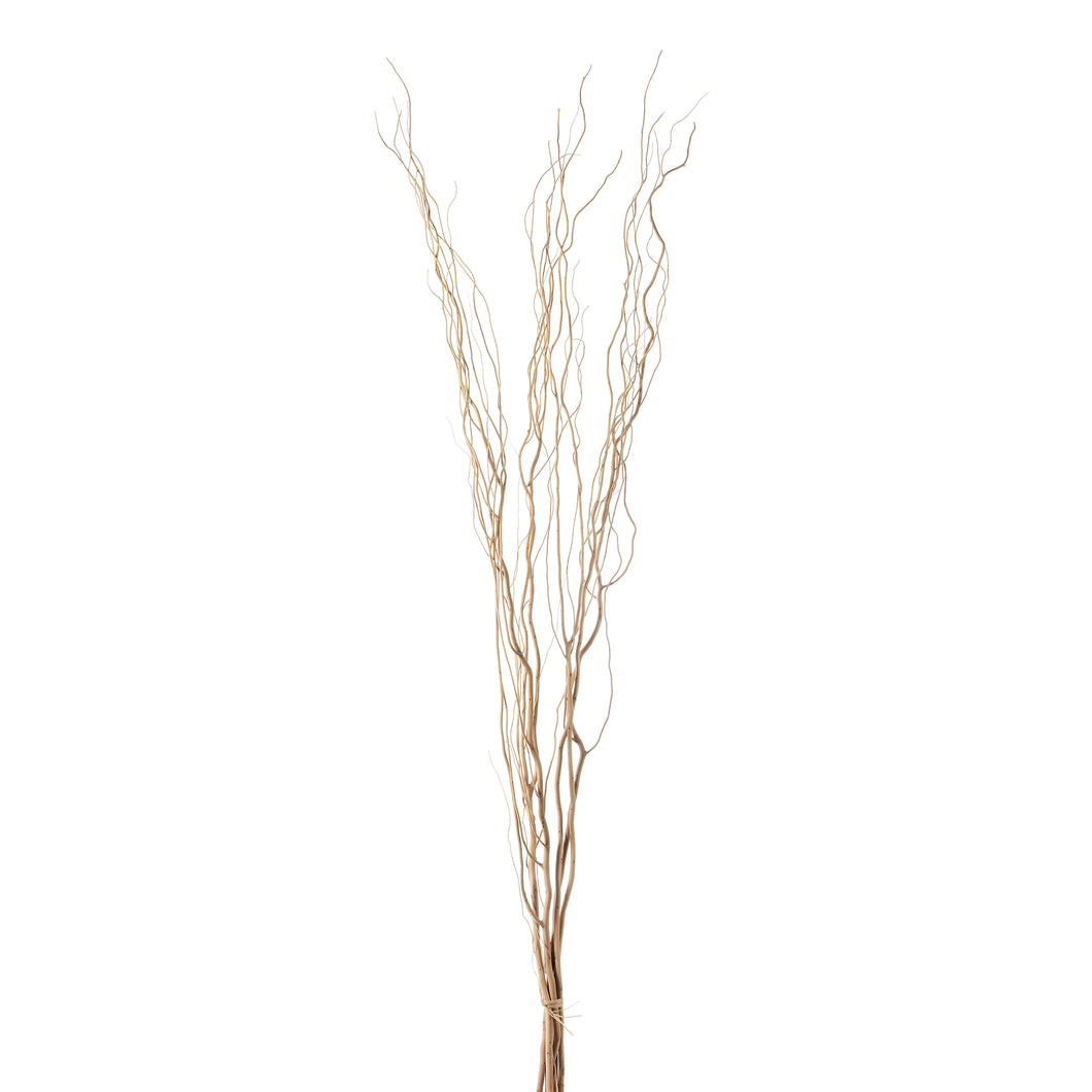 Salix Willow Bundle, 5pc, Natural