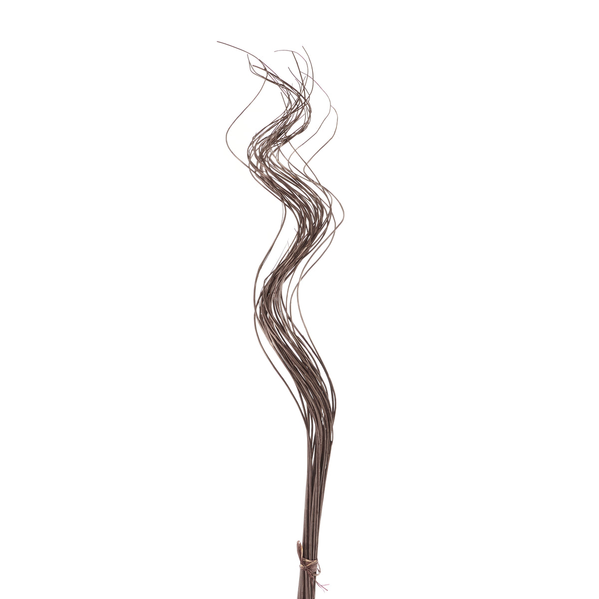 Small Curly Willow Bundle, 30pc, Brown