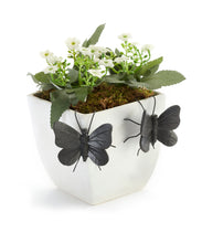 Load image into Gallery viewer, Brown Butterfly Pot Hugger, 2 Assorted
