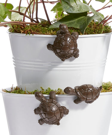 Brown Turtle Pot Hugger, 4 Assorted