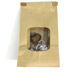 Praying Mantis Eggs, Tenodera Aridifolia, 2ct. Bag