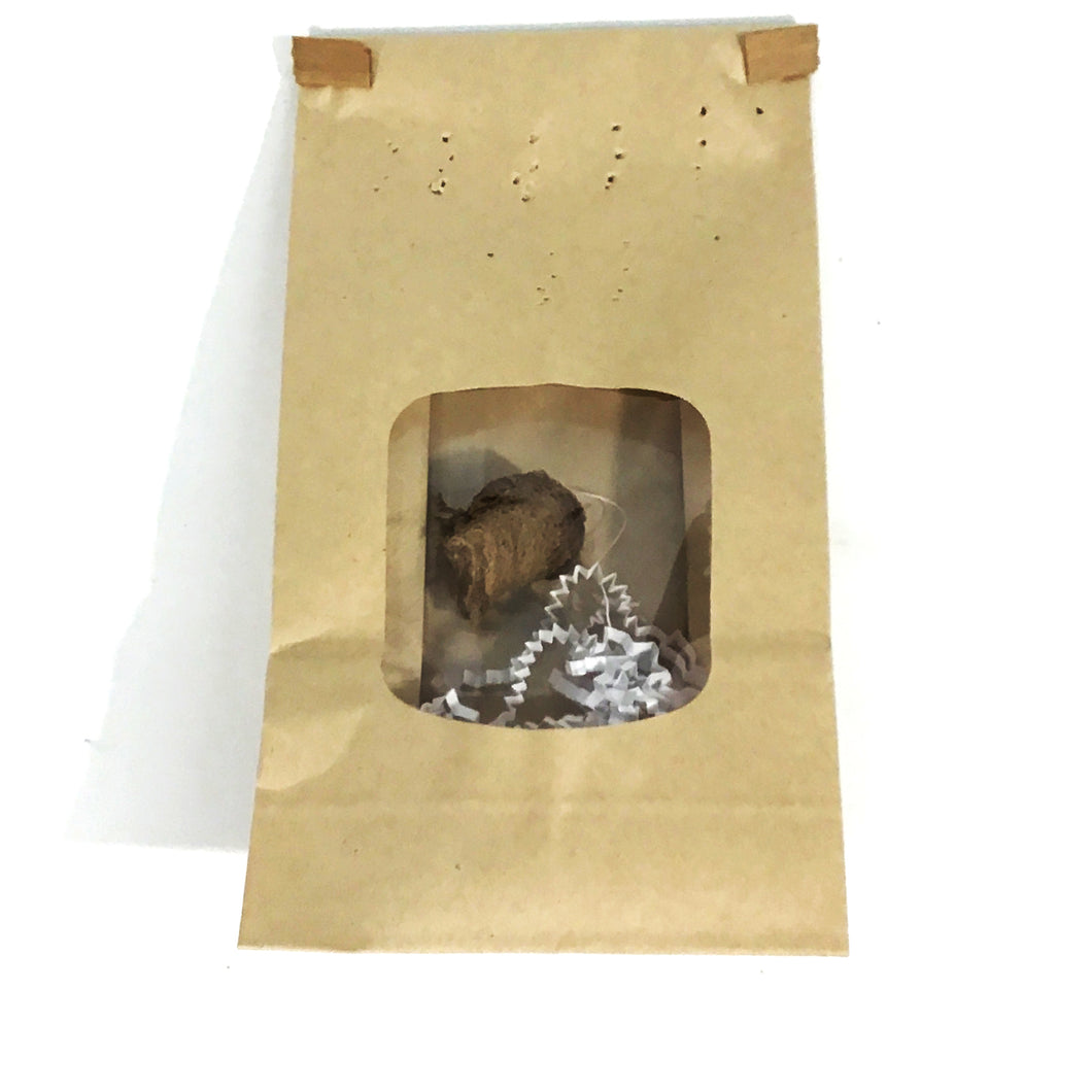 Praying Mantis Eggs, Tenodera Aridifolia, 2ct. Bag