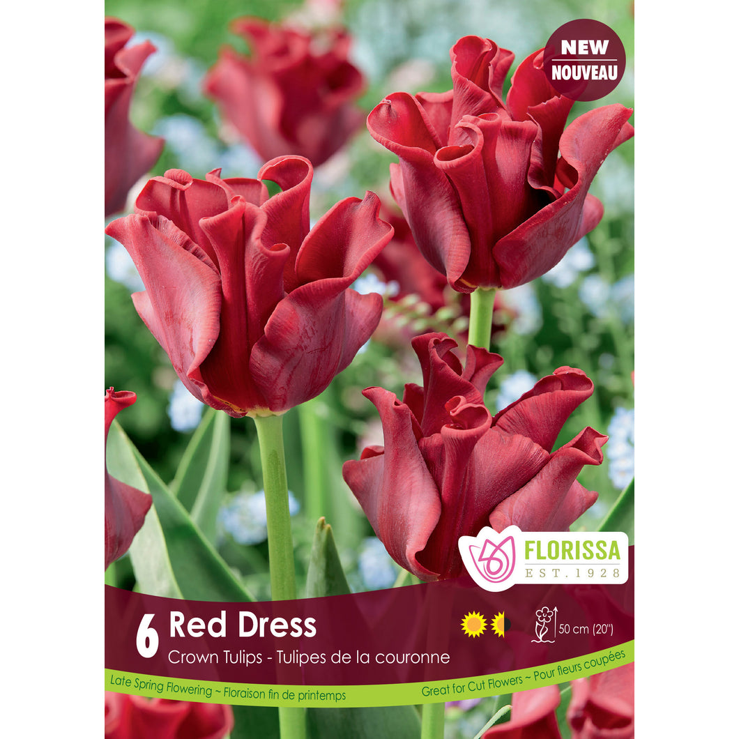 Tulip, Crown - Red Dress Bulbs, 6 Pack