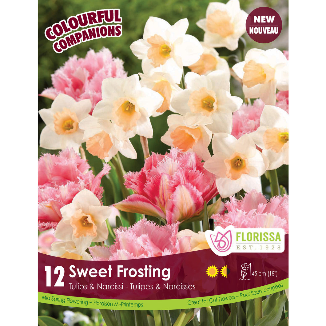 Colourful Companions - Sweet Frosting Bulbs, 12 Pk