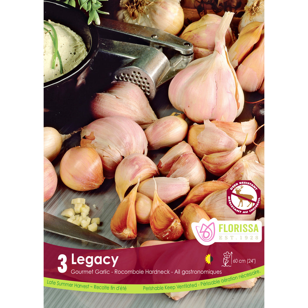Garlic - Legacy Bulbs, 3 Pack