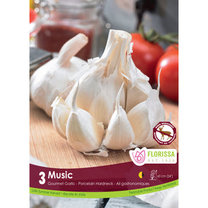 Garlic - Music Bulbs, 3 Pack