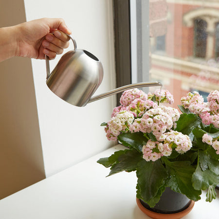 Watering Can, Stainless Steel