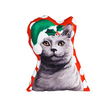 Load image into Gallery viewer, Mini Holiday Cat Pillow, 3 Styles
