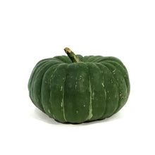 Load image into Gallery viewer, Heritage Pumpkins

