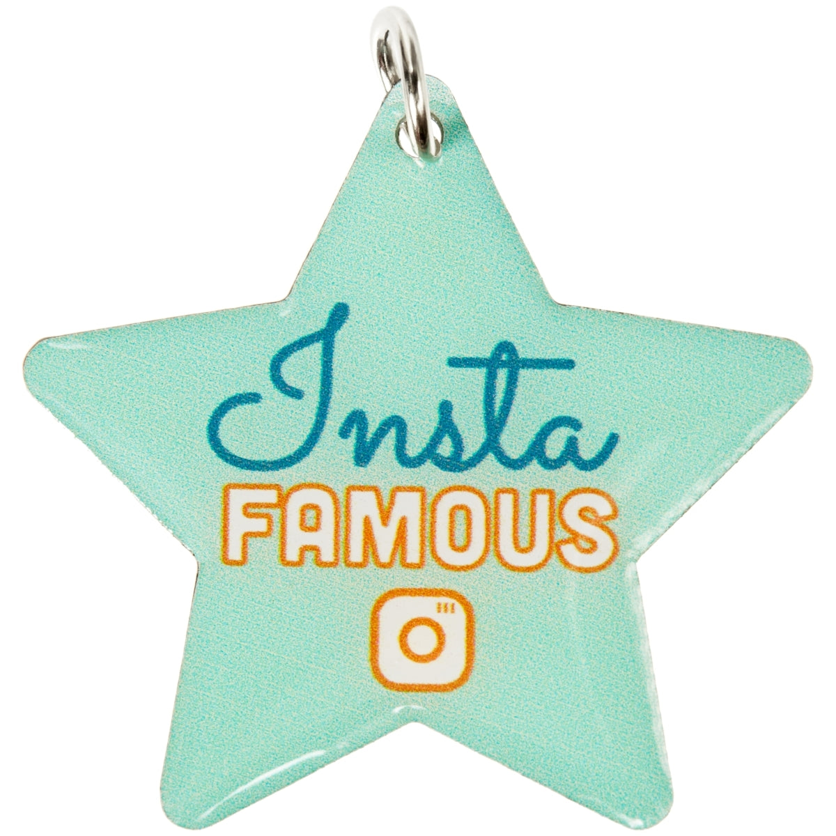 Insta Famous Pet Collar Charm