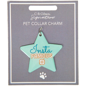 Insta Famous Pet Collar Charm