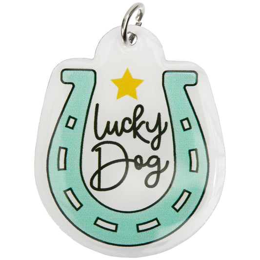Lucky Dog Pet Collar Charm