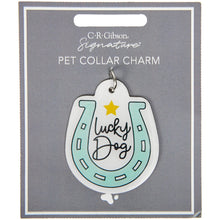 Load image into Gallery viewer, Lucky Dog Pet Collar Charm
