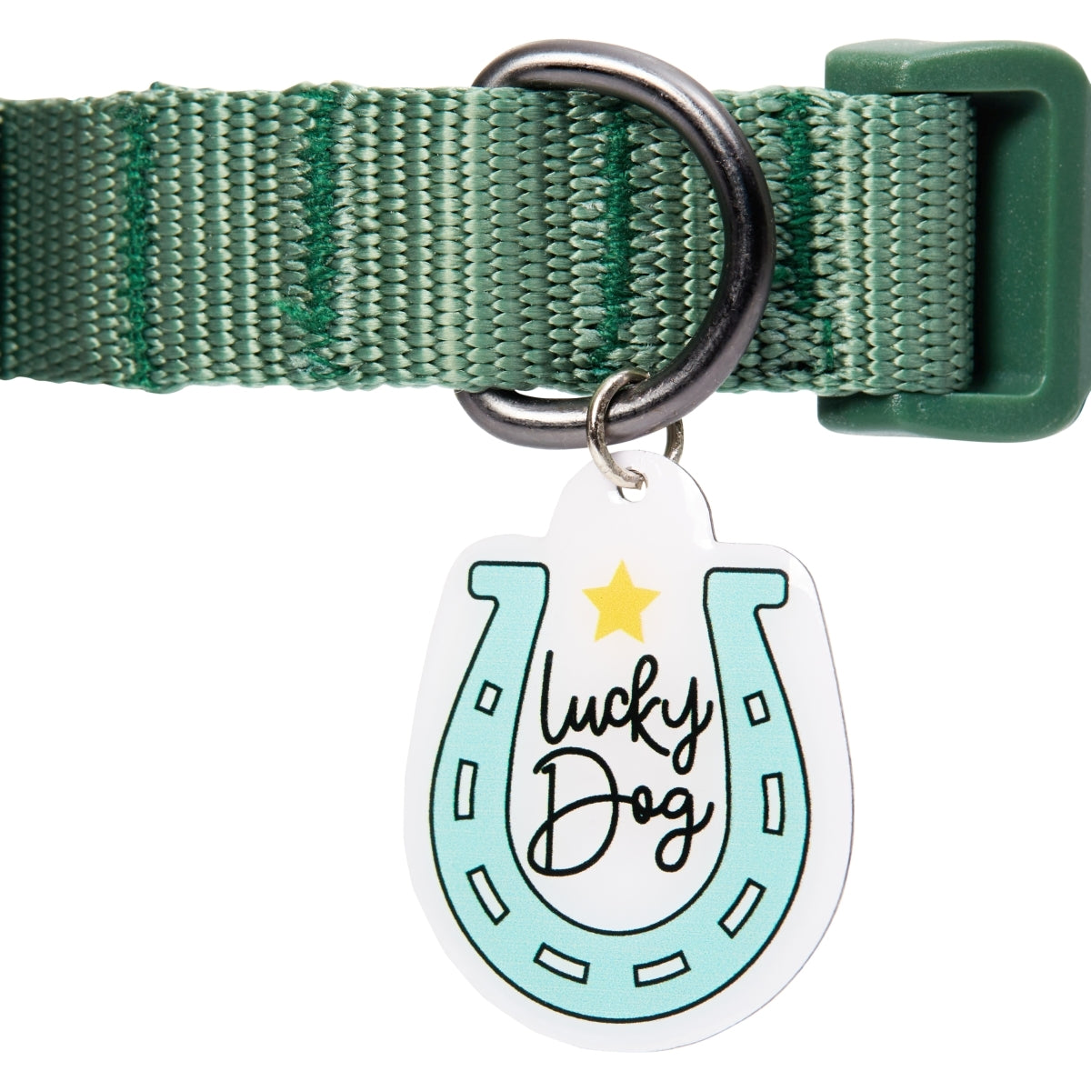 Lucky Dog Pet Collar Charm