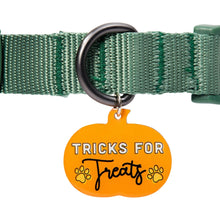 Load image into Gallery viewer, Tricks For Treats Pet Collar Charm
