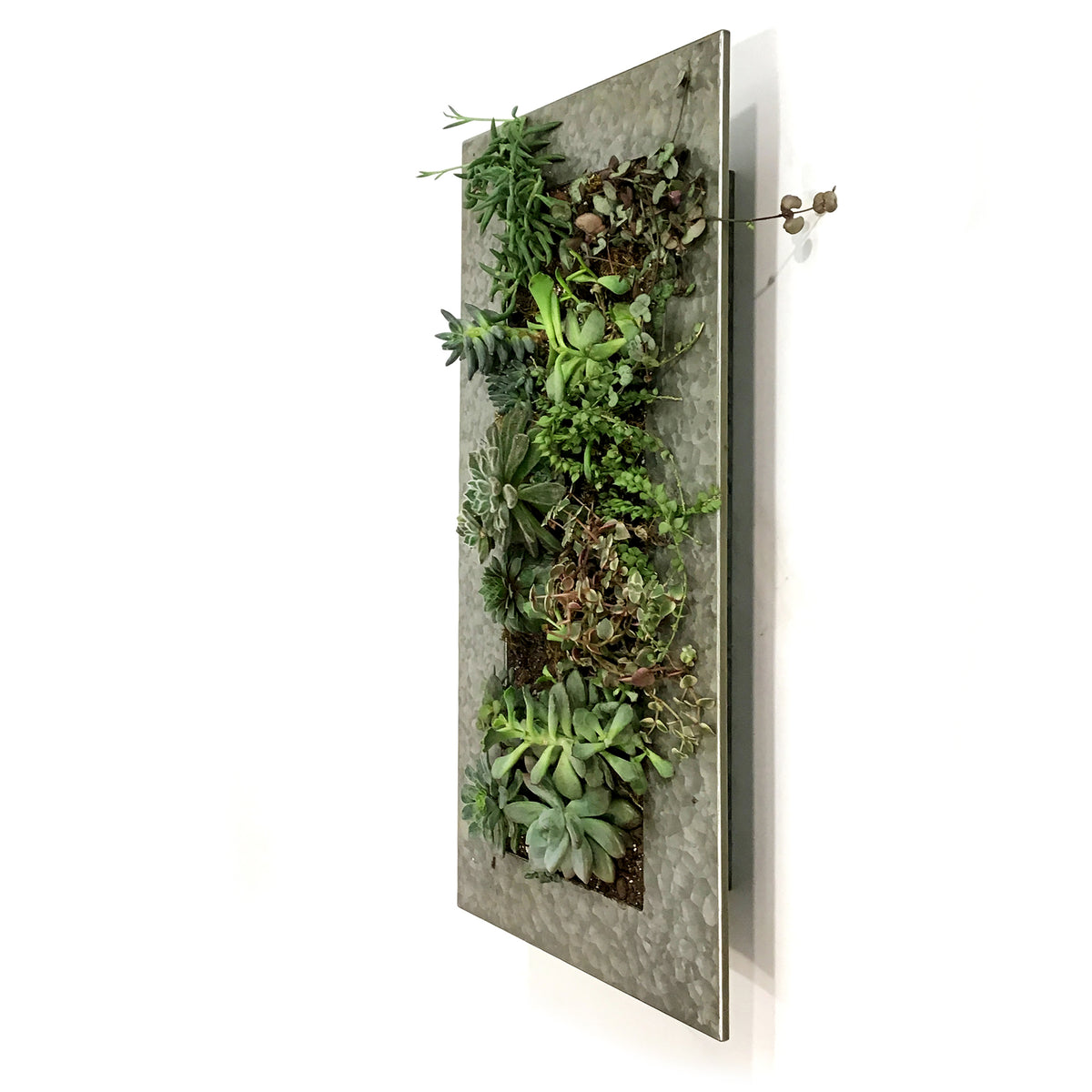 Succulent Wall Planter, 12 Pockets