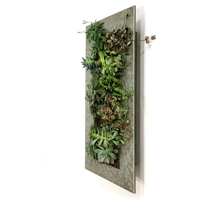 Succulent Wall Planter, 12 Pockets