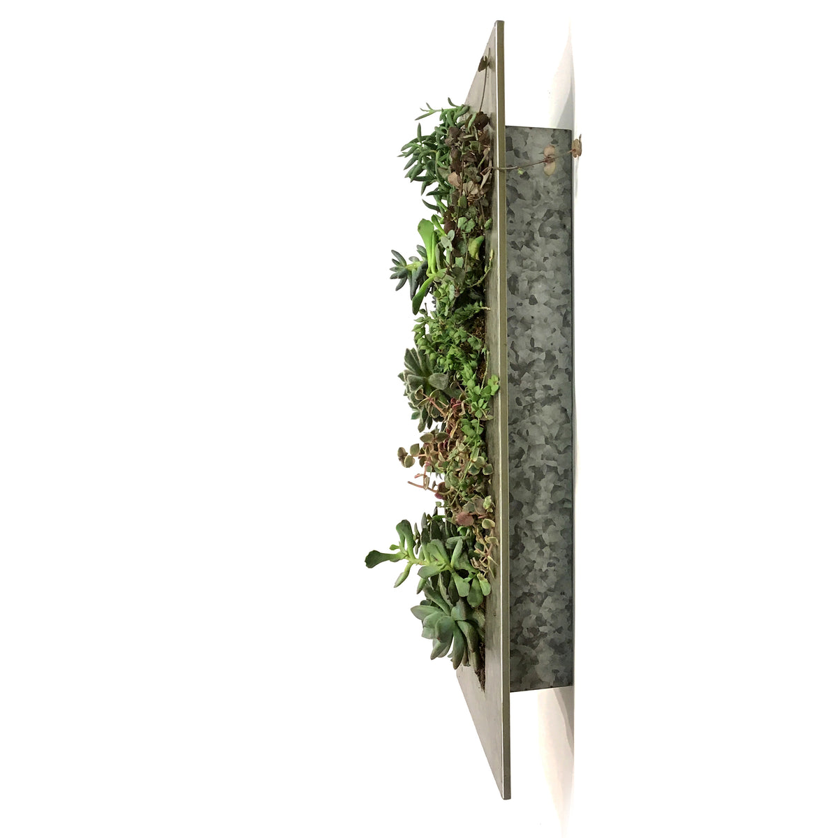 Succulent Wall Planter, 12 Pockets