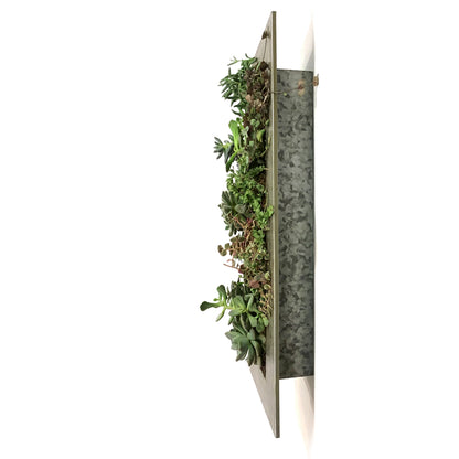 Succulent Wall Planter, 12 Pockets