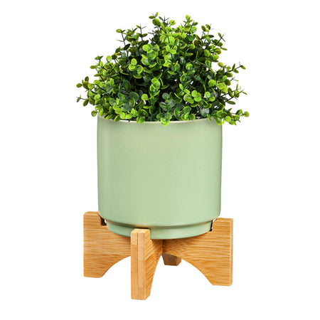 Pot, 3.5in, Ceramic, with Wood Stand, 3 Asst