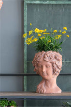 Load image into Gallery viewer, Pot, 4in, Cement, Terracotta Goddess Head
