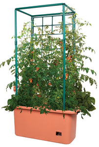 Tomato Trellis Planter on Wheels, 25in