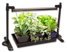 Load image into Gallery viewer, Sunblaster Universal T5 Grow Light Stand
