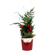 Load image into Gallery viewer, Custom Christmas Planter, Santa Moustache

