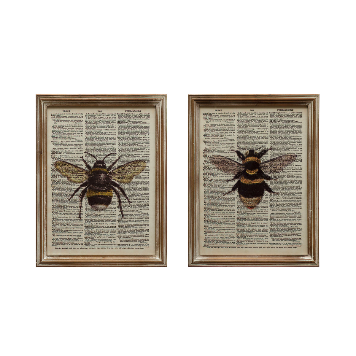Wood Framed Bee Book Print Wall Art, 2 Styles