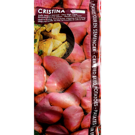 Seed Potato - Cristina, VN, 2kg Bag
