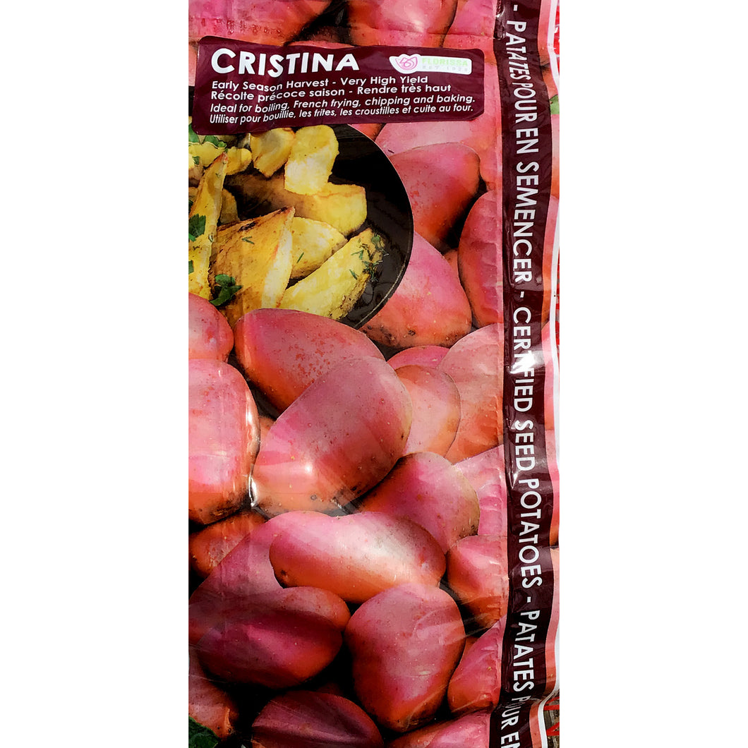 Seed Potato - Cristina, VN, 2kg Bag