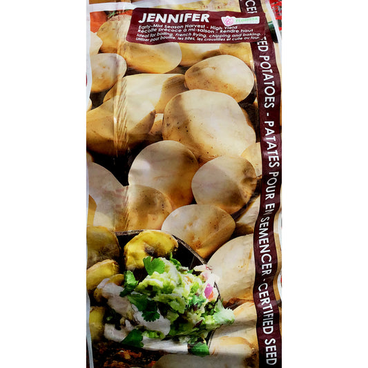 Seed Potato - Jennifer, VN, 2kg Bag