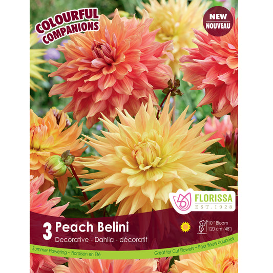 Colourful Companions - Peach Bellini Bulbs, 3 Pack