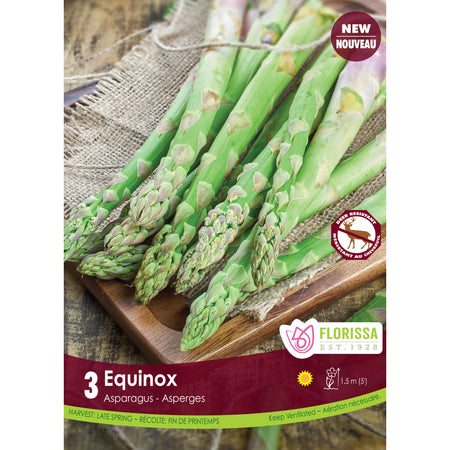 Asparagus - Equinox Bulbs, 3 Pack