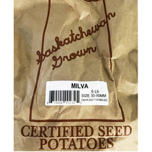 Load image into Gallery viewer, Seed Potato - Milva, 5lb Bag
