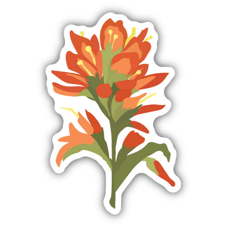Indian Paintbrush (Castilleja) Sticker, 3in