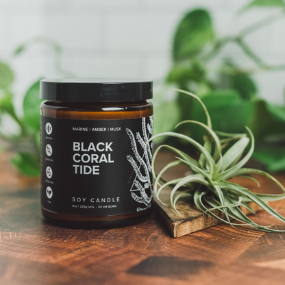 Broken Top Soy Candle, Black Coral Tide, 9oz