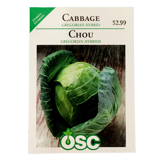 Cabbage - Gregorian Hybrid Seeds, OSC