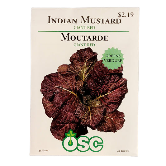 Greens - Giant Red Indian Mustard Seeds, OSC