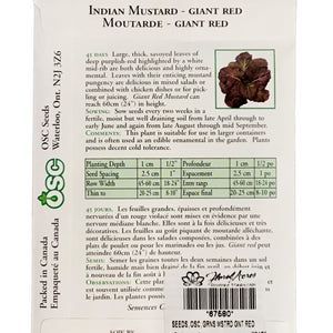 Greens - Giant Red Indian Mustard Seeds, OSC