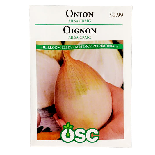 Onion - Ailsa Craig Seeds, OSC