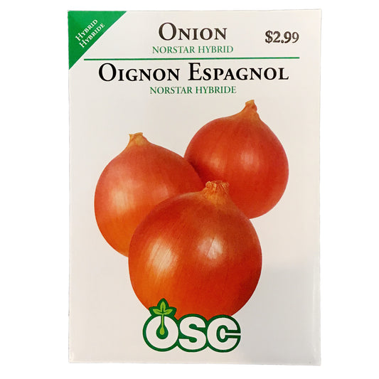 Onion - Norstar Hybrid Seeds, OSC