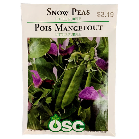 Pea - Little Snow Pea Purple Seeds, OSC