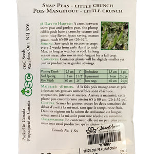 Pea - Little Crunch Snap Seeds, OSC