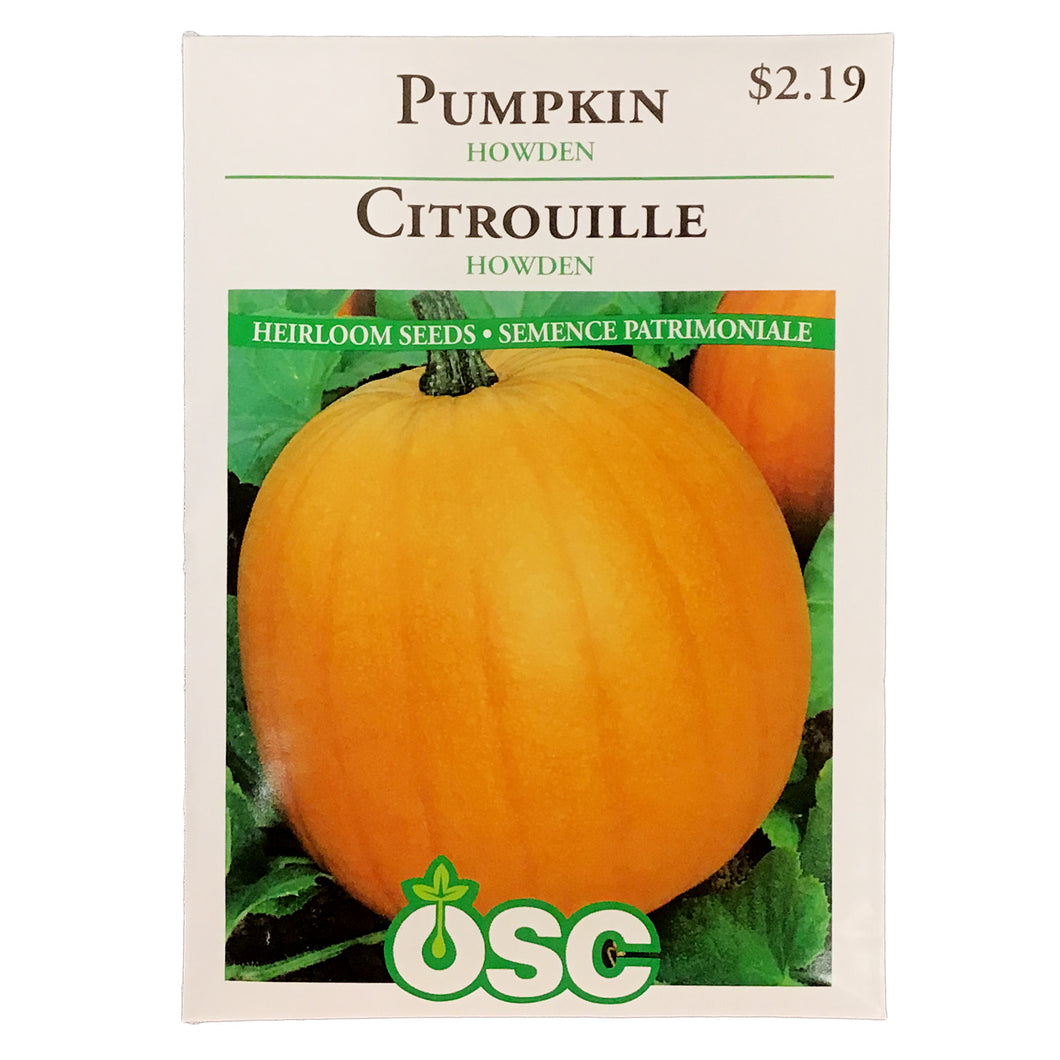 Pumpkin - Howden Seeds, OSC