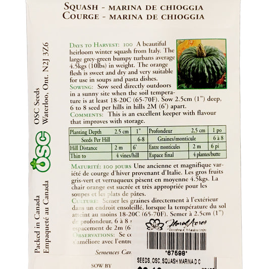Squash - Marina de Chioggia Seeds, OSC