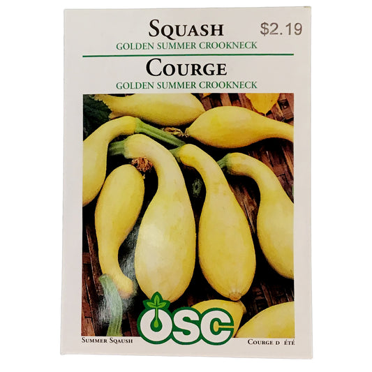 Squash - Golden Summer Crookneck Seeds, OSC